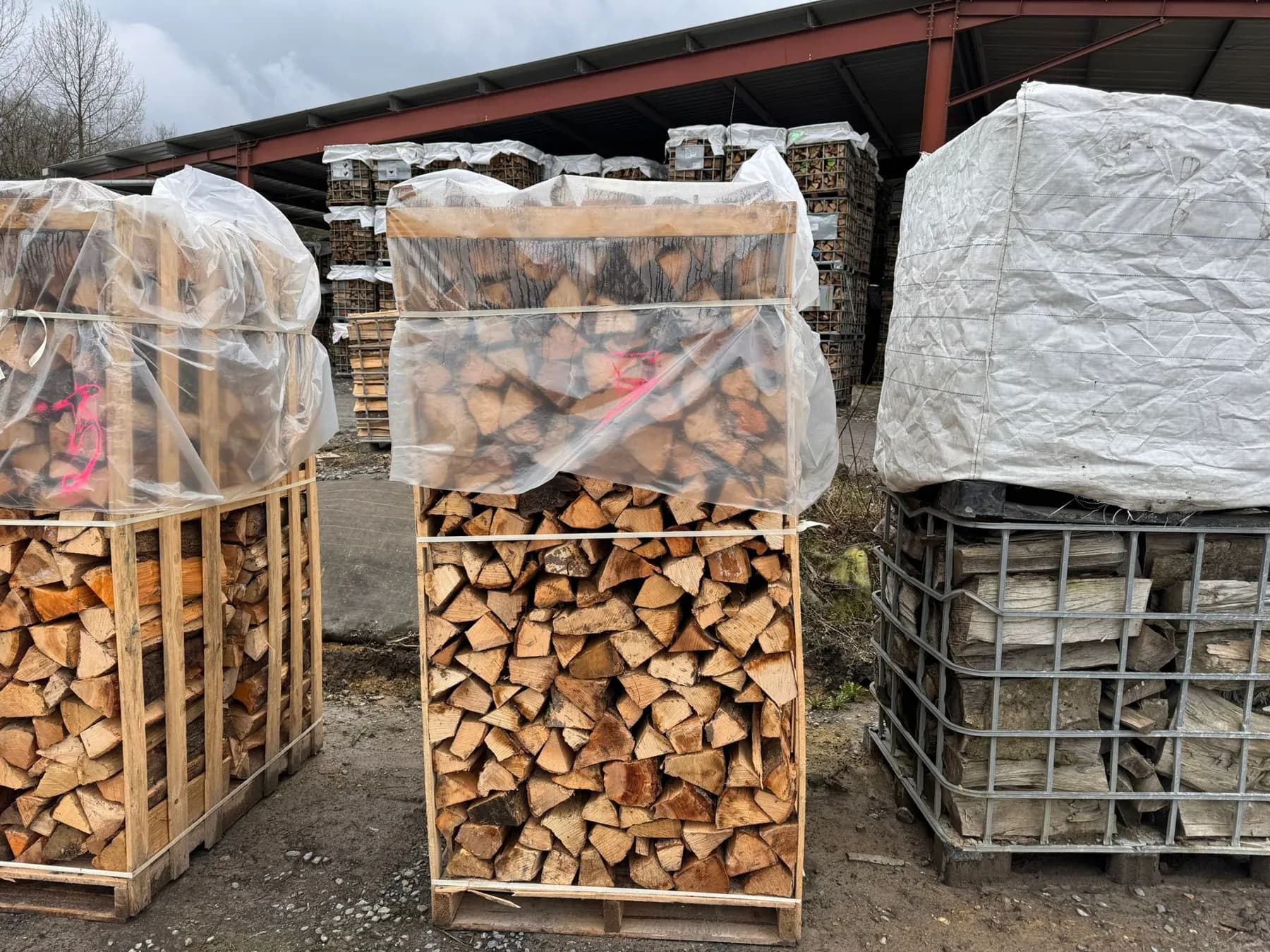 Palette de bois de chauffage ultra-sec au dépôt de Saint-Germain-lès-Arpajon, bûches de 50 cm