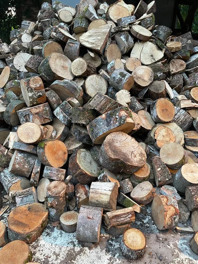 Rondins de bois de chauffage en vrac, bûches de 25 cm