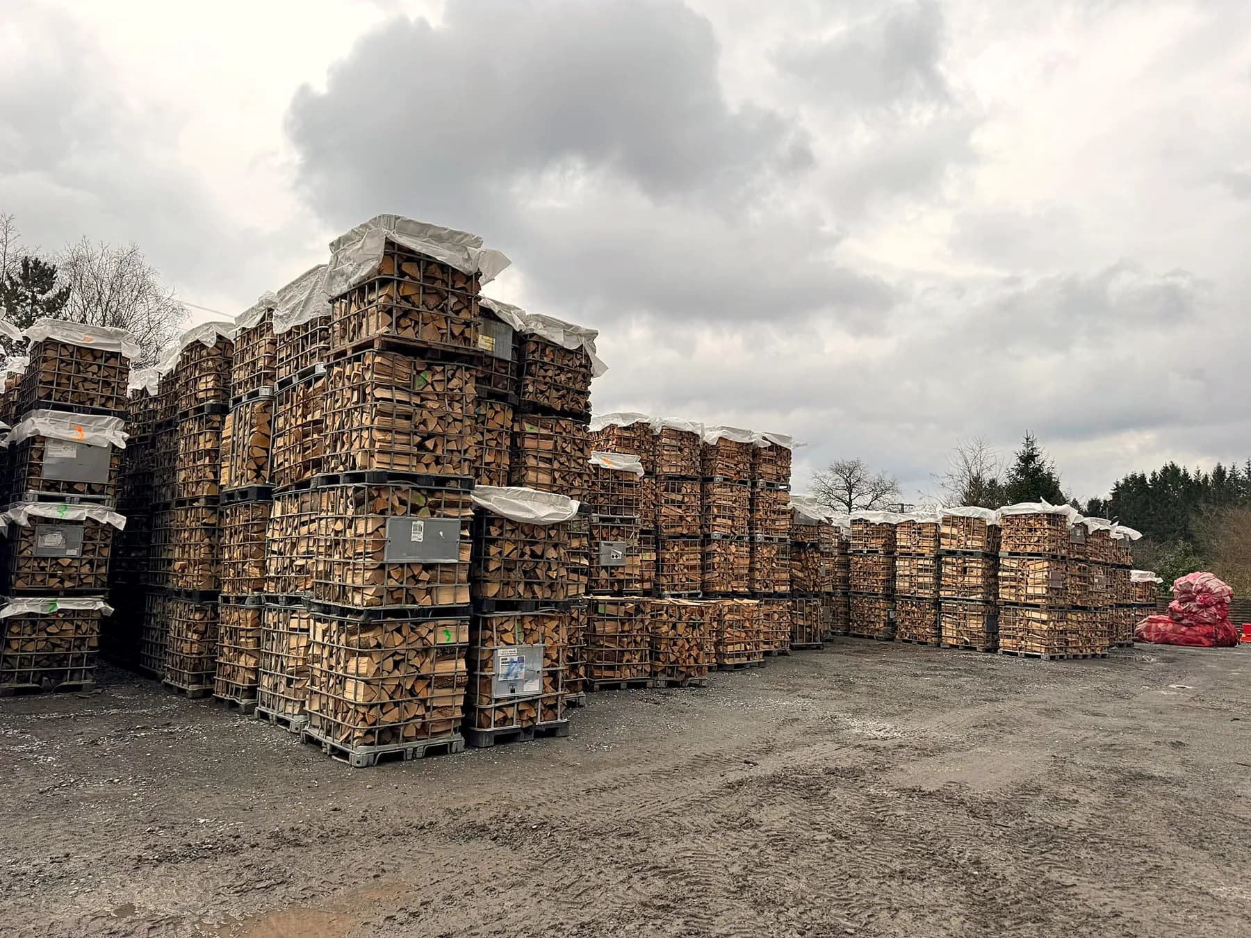 Stock de palettes de bois de chauffage à Saint-Germain-lès-Arpajon